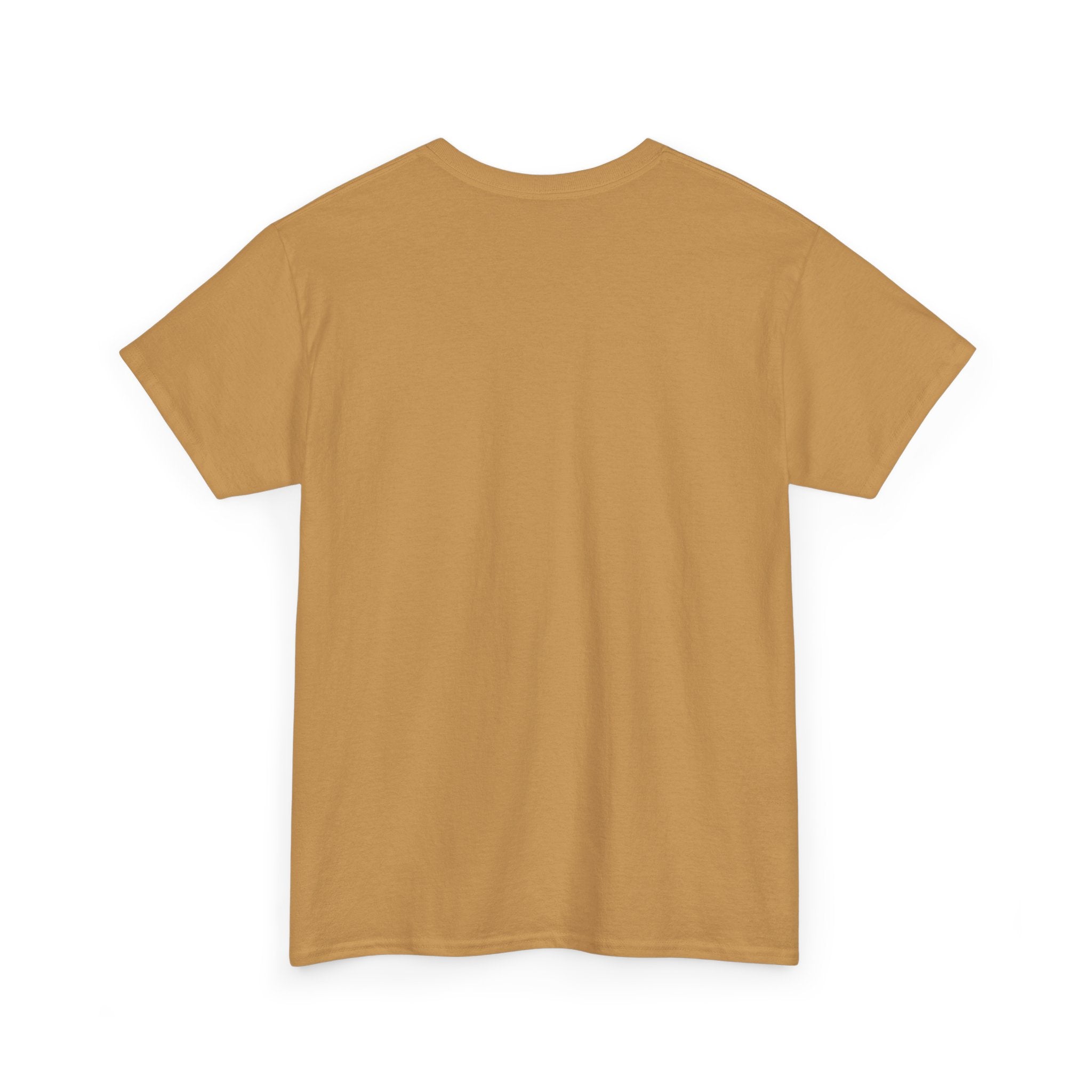 AC DC T Shirt